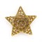 Винтажная брошь в виде звезды FLORENZA